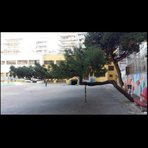 Μια εικόνα, 335 λέξεις